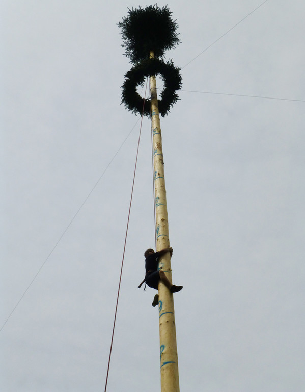 Maibaum3d_jpg-1367781341