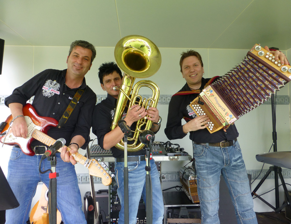 Maibaum5Musik_jpg-1367781363