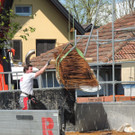 DSCN6139_JPG-1367788268