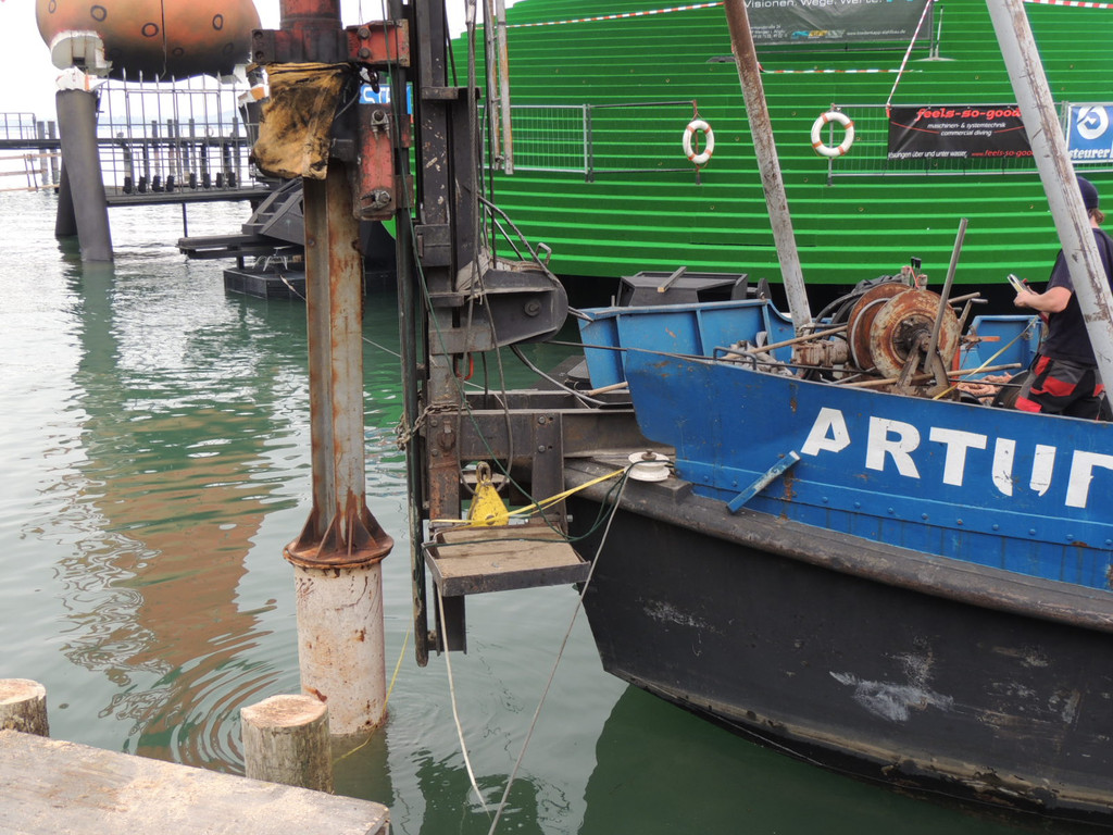 DSCN6347_JPG-1367791484