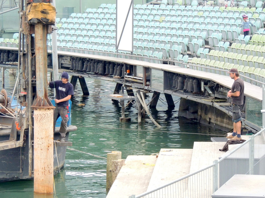 DSCN6335_JPG-1367791456