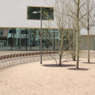 DSCN7472_JPG-1367794008