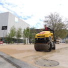 DSCN7813_JPG-1367795977