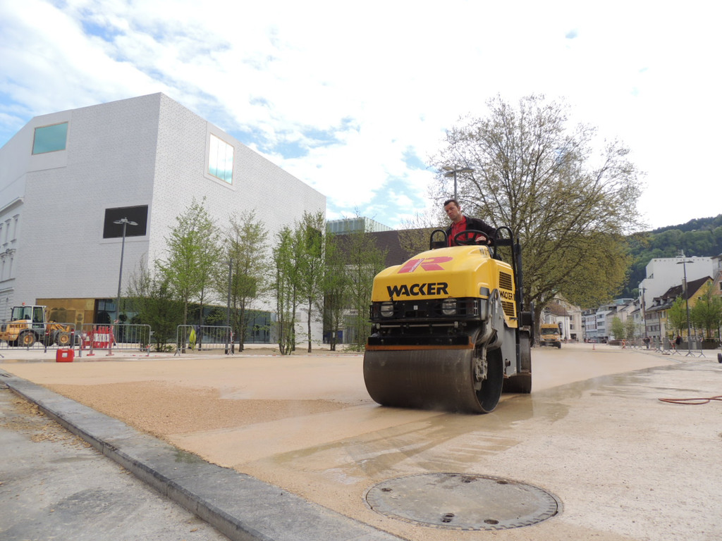 DSCN7813_JPG-1367795977