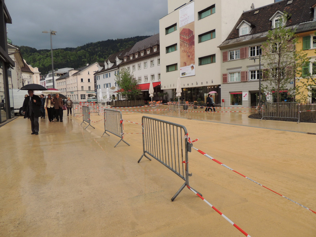 DSCN7461_JPG-1367796074