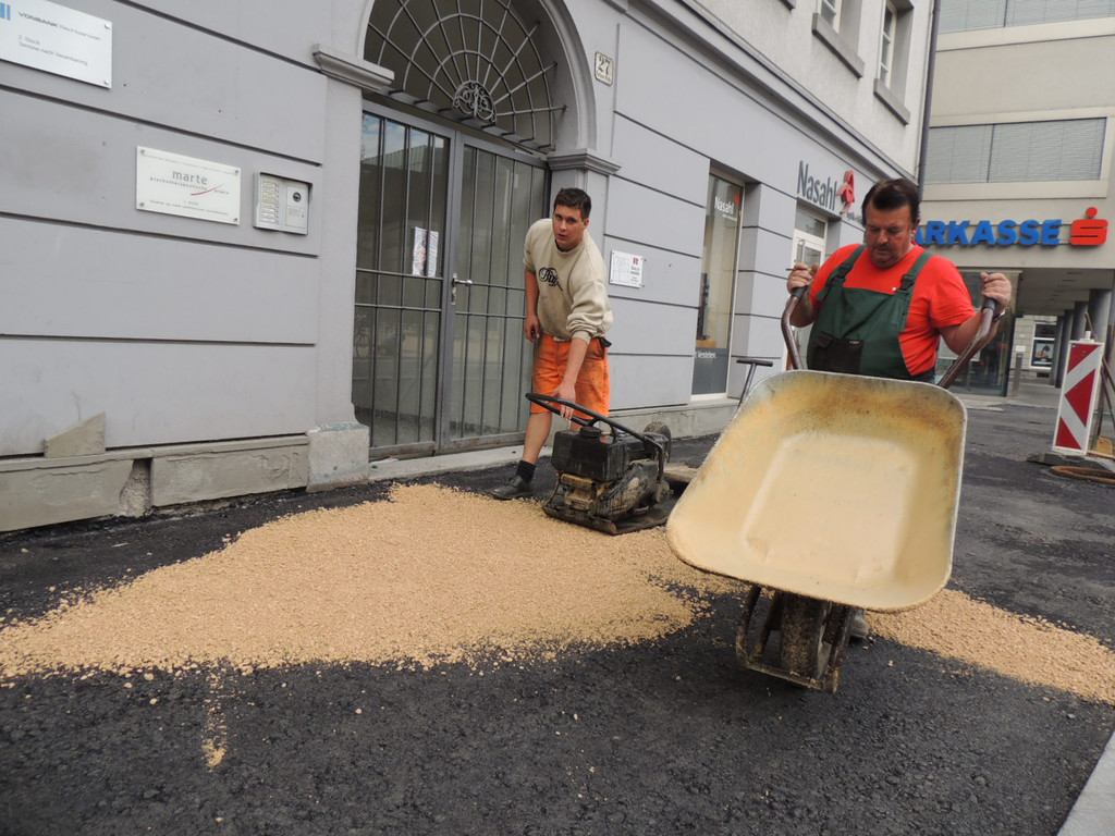 DSCN7826_JPG-1367796013