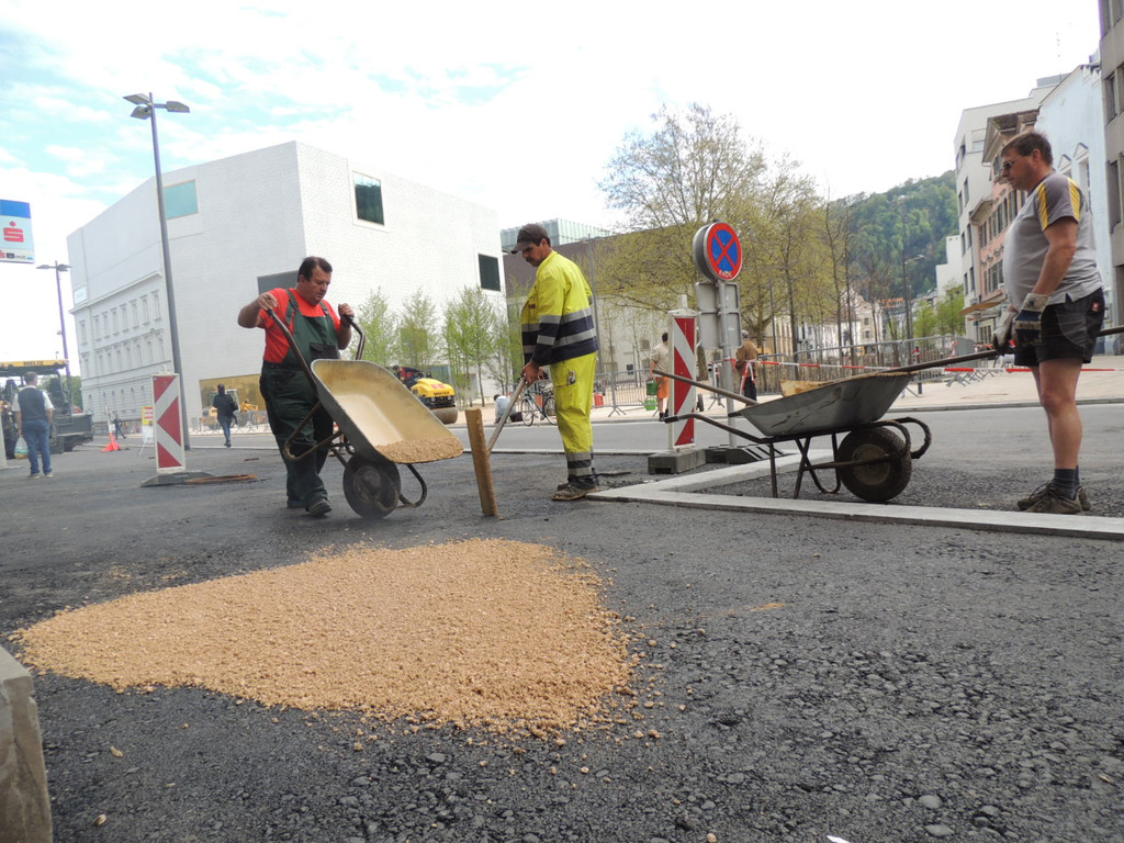 DSCN7824_JPG-1367796010