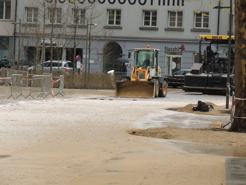 DSCN7459_JPG-1367796066