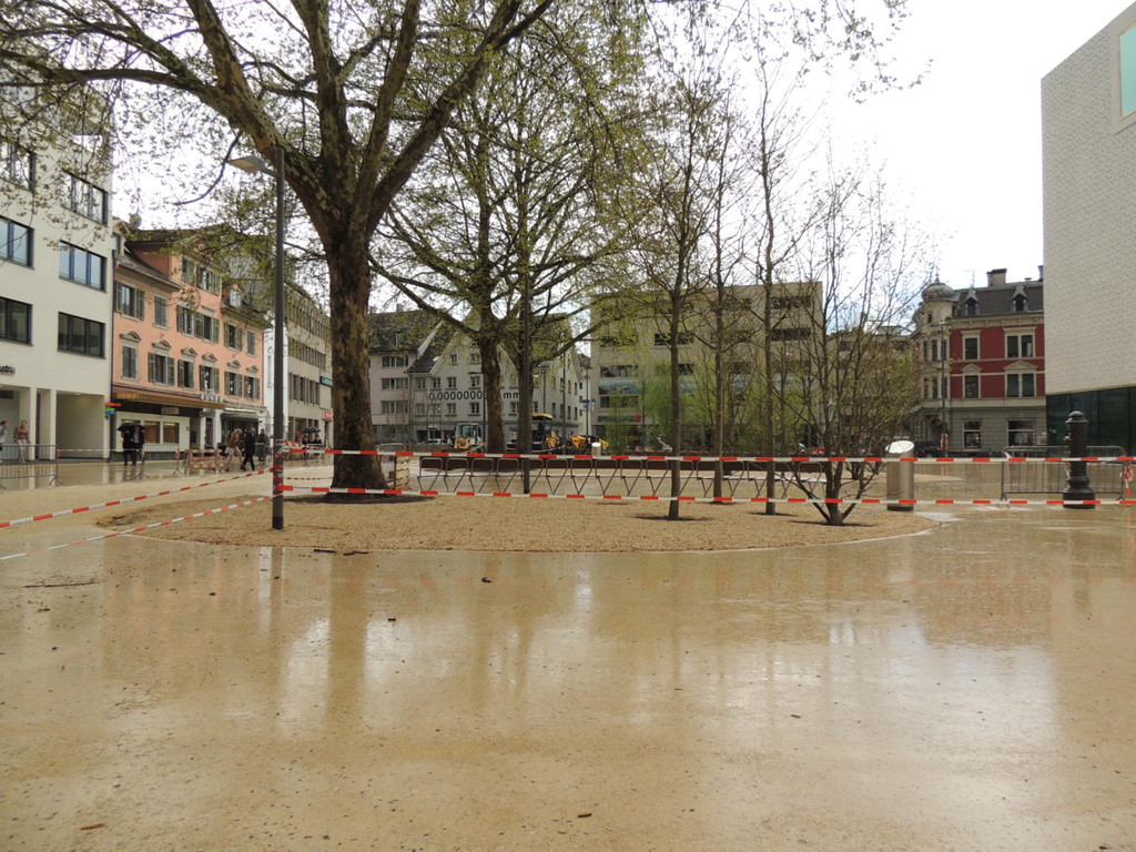 DSCN7463_JPG-1367796078