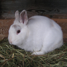 20100213_6_JPG-1267454122
