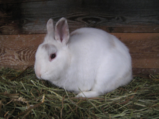 20100213_6_JPG-1267454122