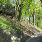 MM-Weg_JPG-1367823823