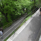 DSCN8693_JPG-1367823609