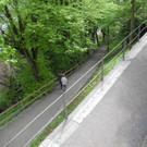 DSCN8694_JPG-1367823659