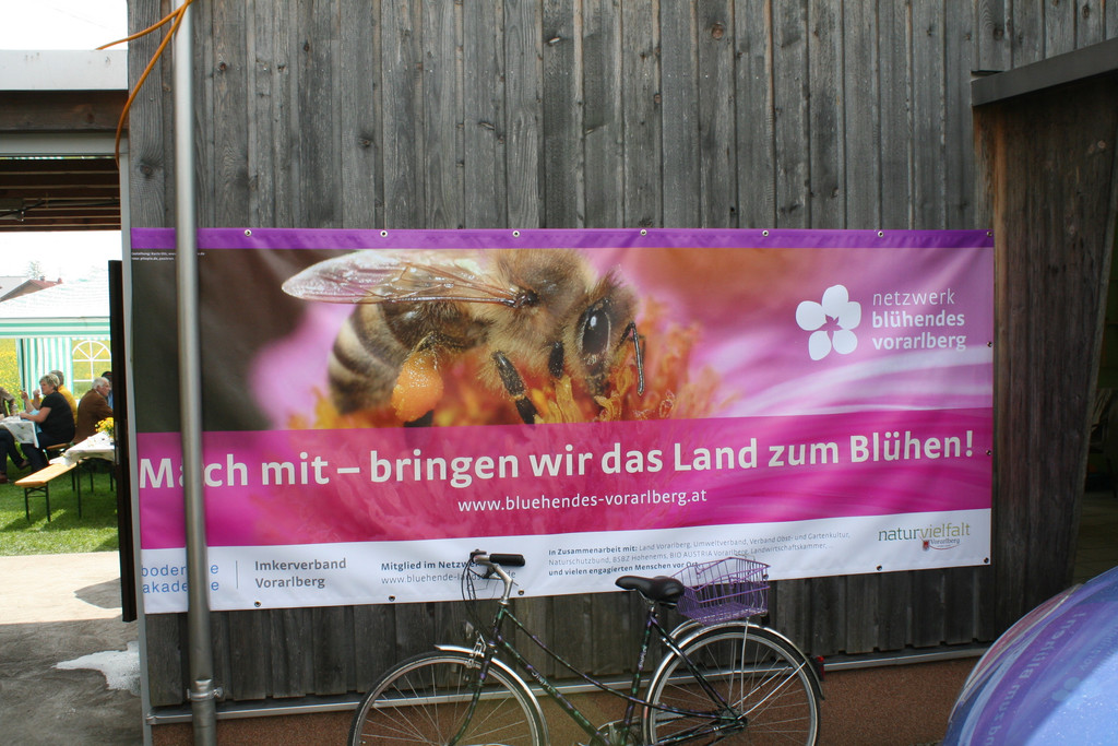IMG_8008_JPG-1367829513