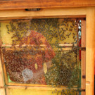 IMG_8018_JPG-1367829569