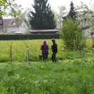 IMG_8025_JPG-1367829623