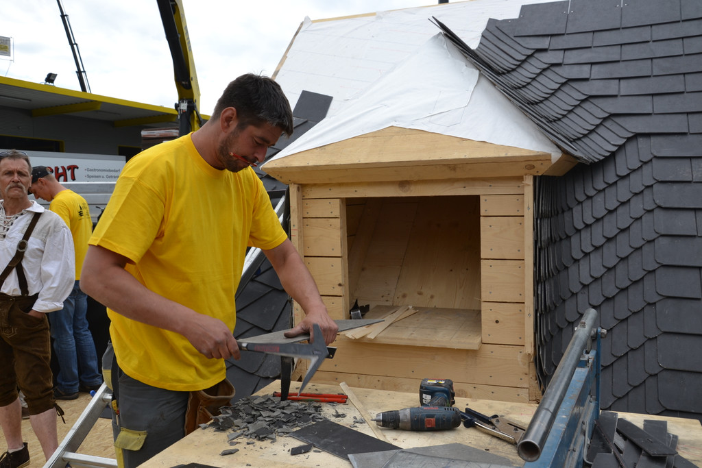 DSC_0745_JPG-1367831276