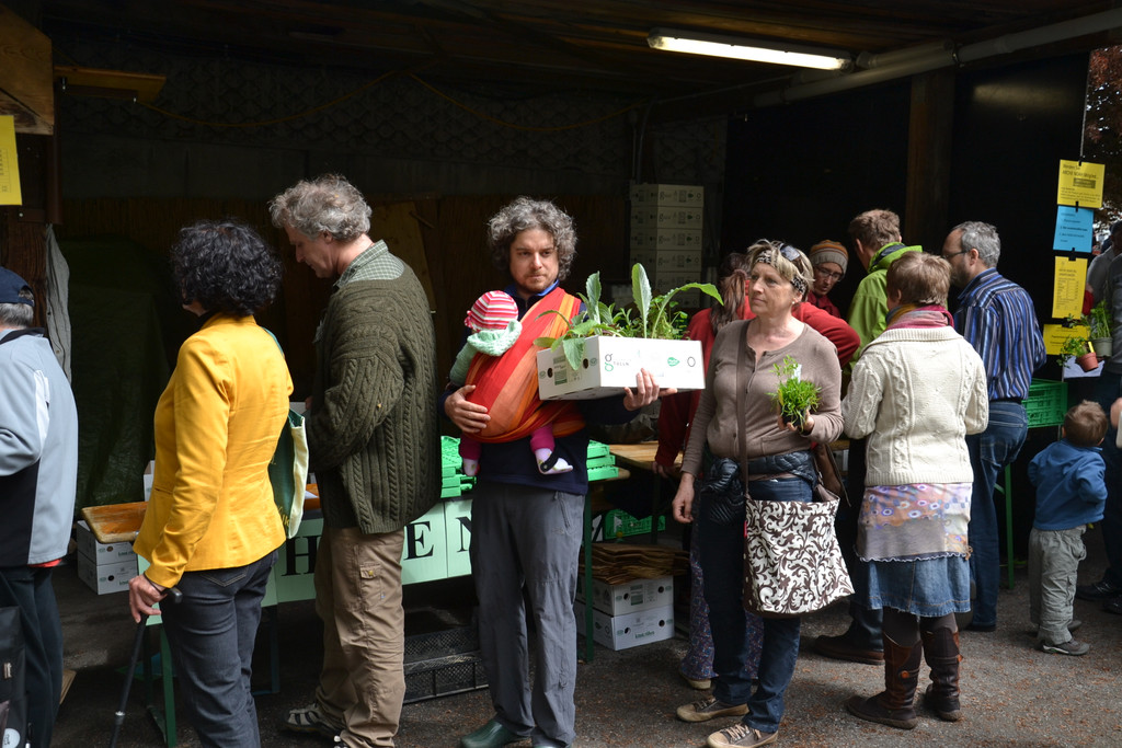 DSC_0720_JPG-1367832536