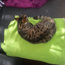Foto1.jpg