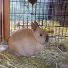 01032010056.jpg
