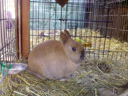 01032010056.jpg