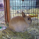 01032010058.jpg