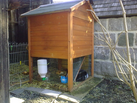 01032010060.jpg