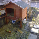 01032010061.jpg