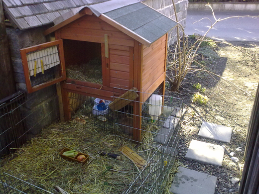 01032010061.jpg