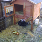 01032010063.jpg