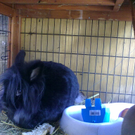 01032010065.jpg