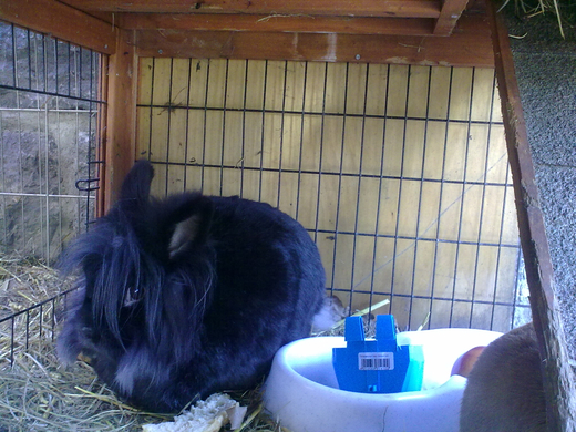 01032010065.jpg