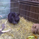 01032010067.jpg