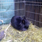 01032010071.jpg