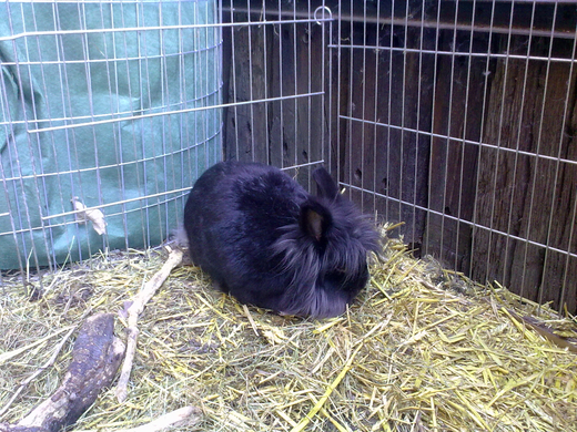 01032010071.jpg