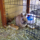 01032010073.jpg