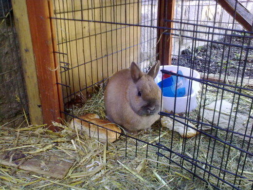 01032010073.jpg