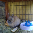 01032010074.jpg