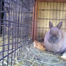 01032010076.jpg