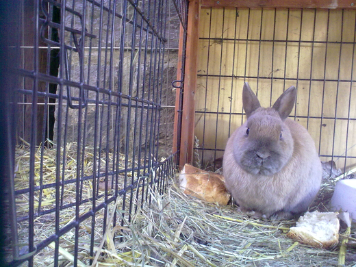 01032010076.jpg