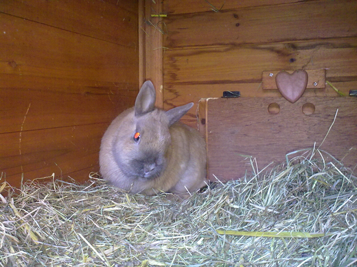 01032010081.jpg