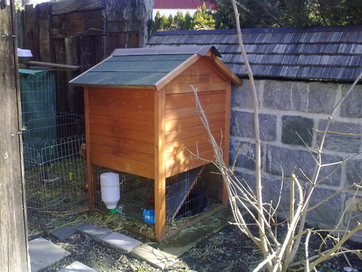 01032010089.jpg