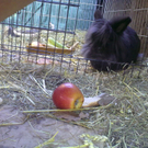 01032010093.jpg