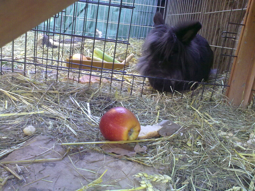 01032010093.jpg