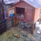 01032010110.jpg