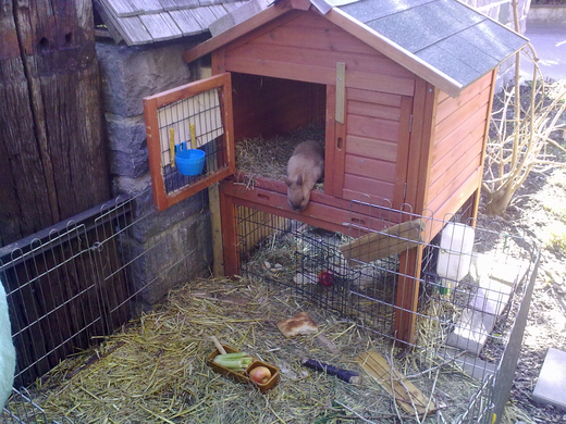 01032010110.jpg