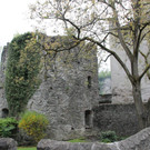 IMG_6389.JPG