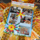 Muell_Art_Tag der Sonne_2013_Mondsee.JPG