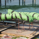 6X0C4333_1.jpg